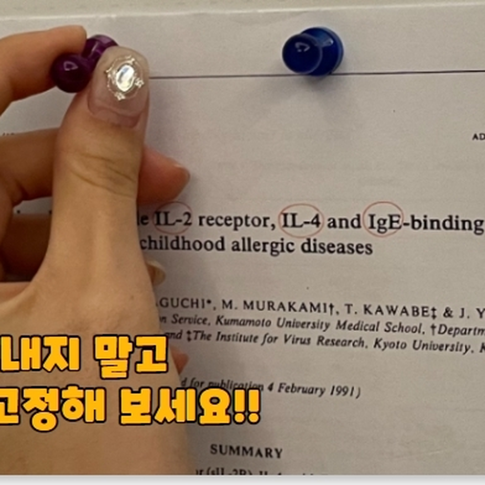 미니사이즈 투명고정자석 다색게시자료고정네오디움자석 10P 1.5cm - 상세 이미지 5
