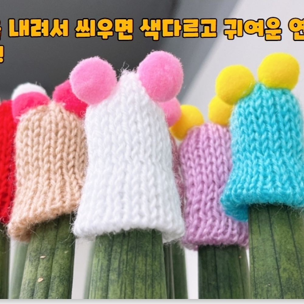식물데코용 화분인테리어소품스투키모자 선물용화분장식스투키모자 5P - 상세 이미지 3