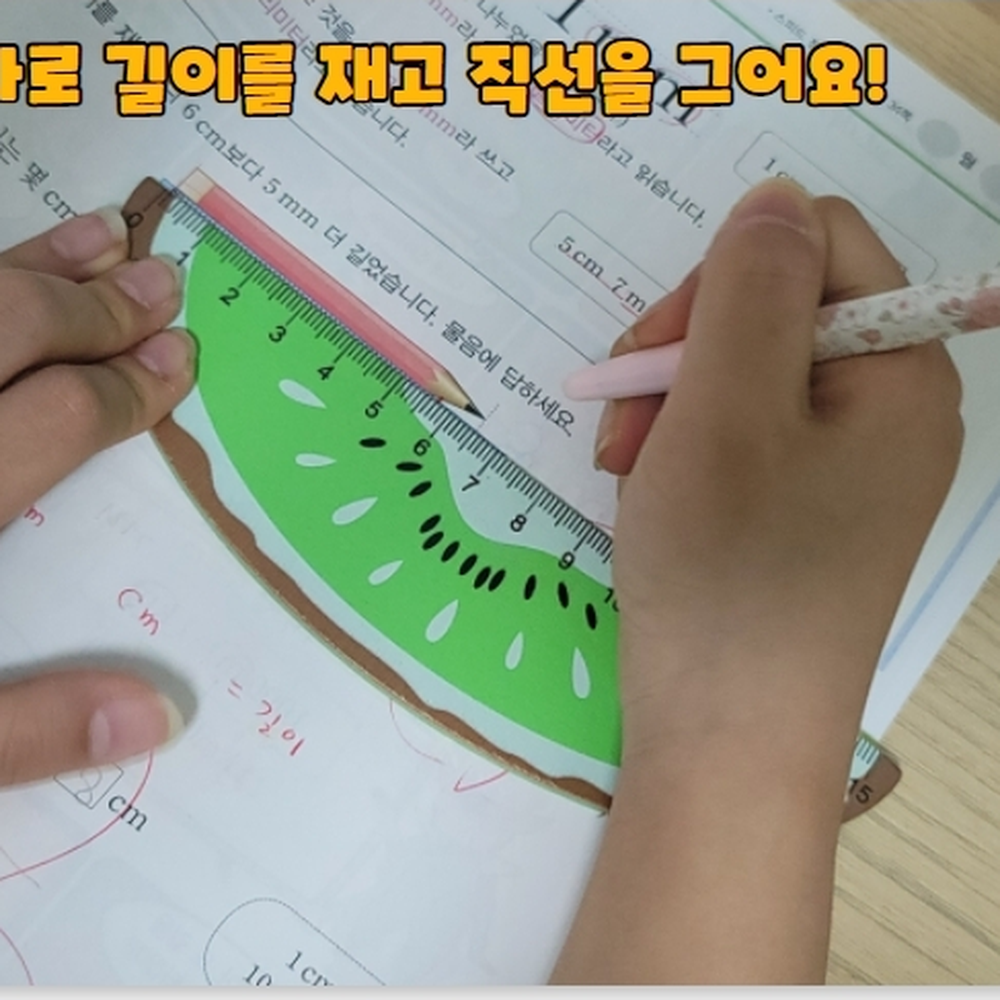고급디자인 미술도형연습과일모양자 어린이집선물용모양자 키위디자인 15cm자 - 상세 이미지 2