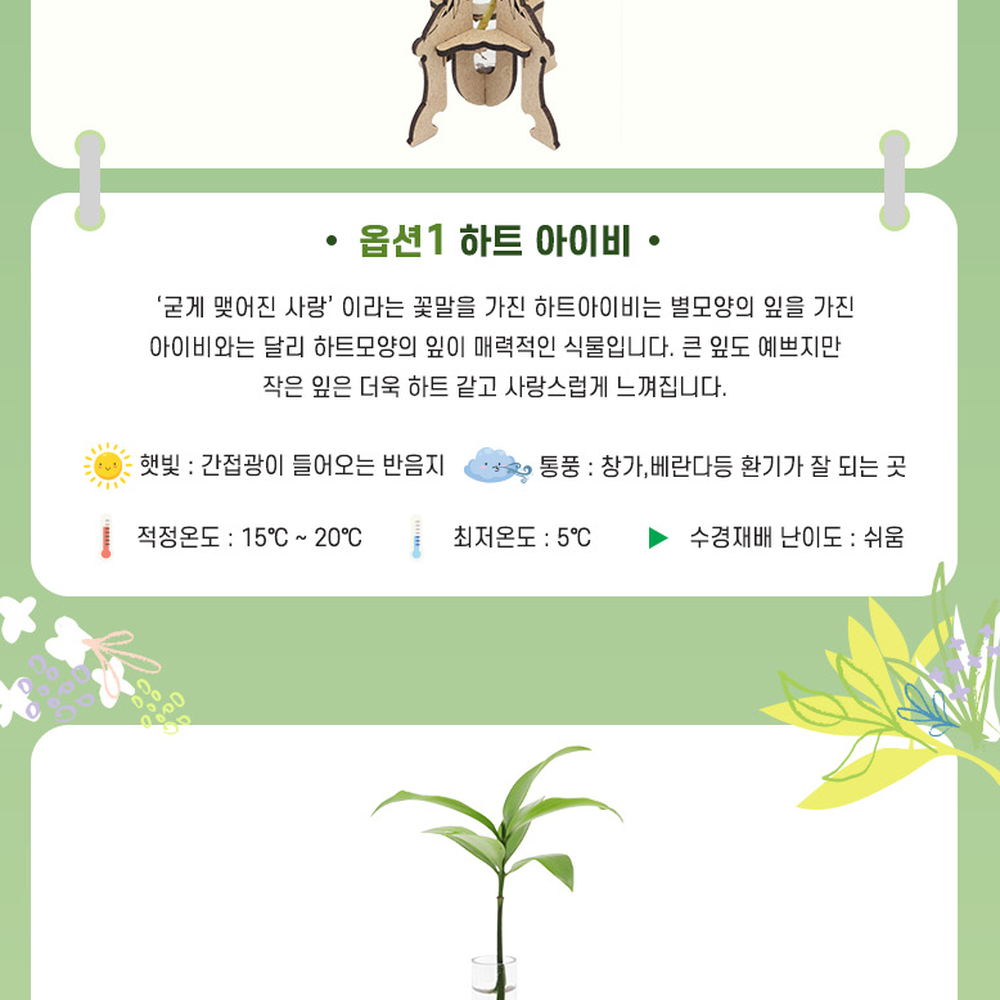 홈가드닝공기정화수경식물세트 미니식물힐링선물물재배세트 DIY원예수경재배키트 - 상세 이미지 3