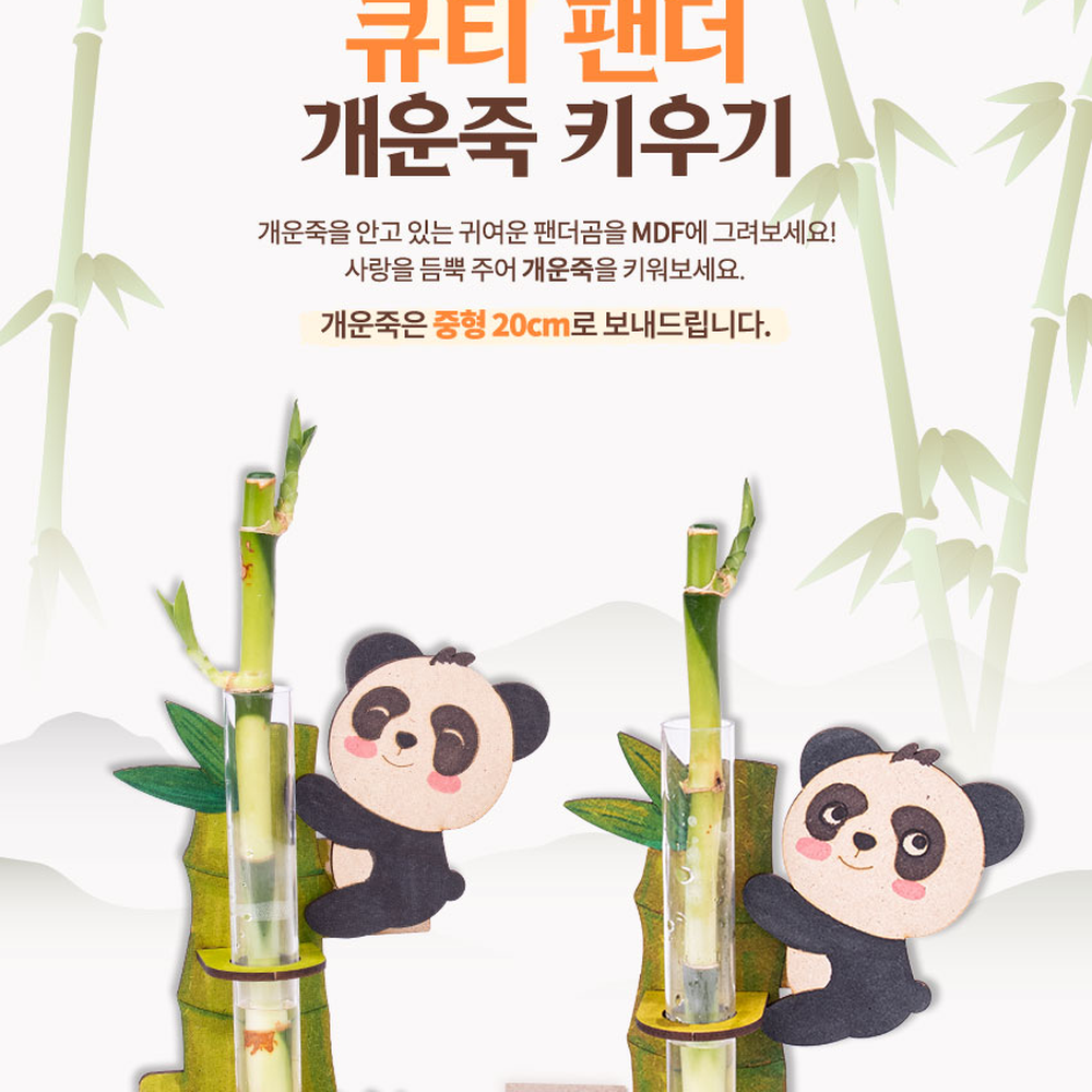 MDF조립생명존중 초등저학년식물관찰개운죽키우기 방과후미술자연학습개운죽화분 - 상세 이미지 3