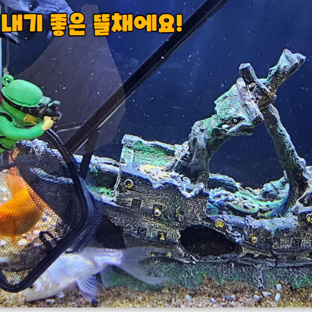 촘촘한그물망 물고기이동용어항뜰채 치어분리용어항뜰채 소형 - 상세 이미지 5
