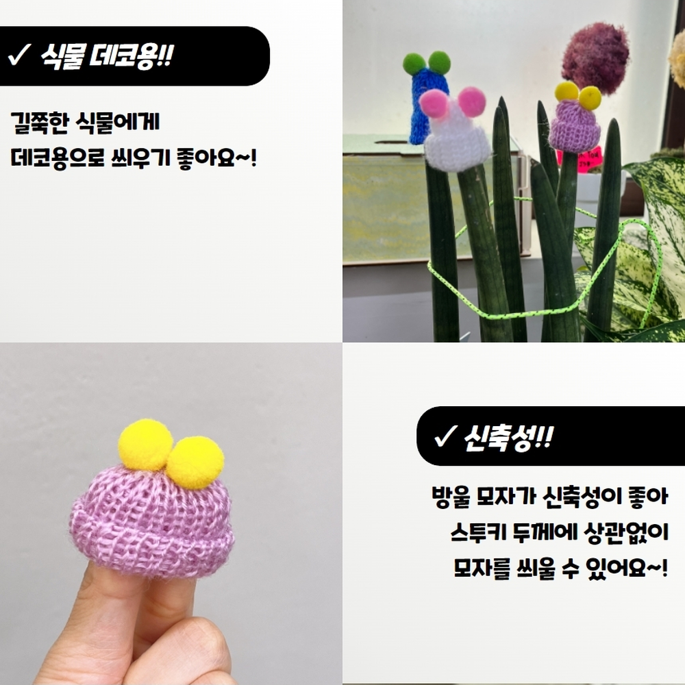 식물데코용 화분인테리어소품스투키모자 선물용화분장식스투키모자 5P 이미지 6