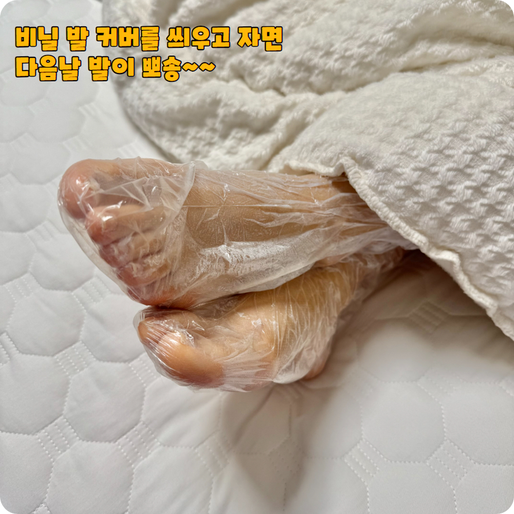 고정스티커 실내청결일회용비닐풋커버 병원요양시설위생관리발커버 100P - 상세 이미지 4