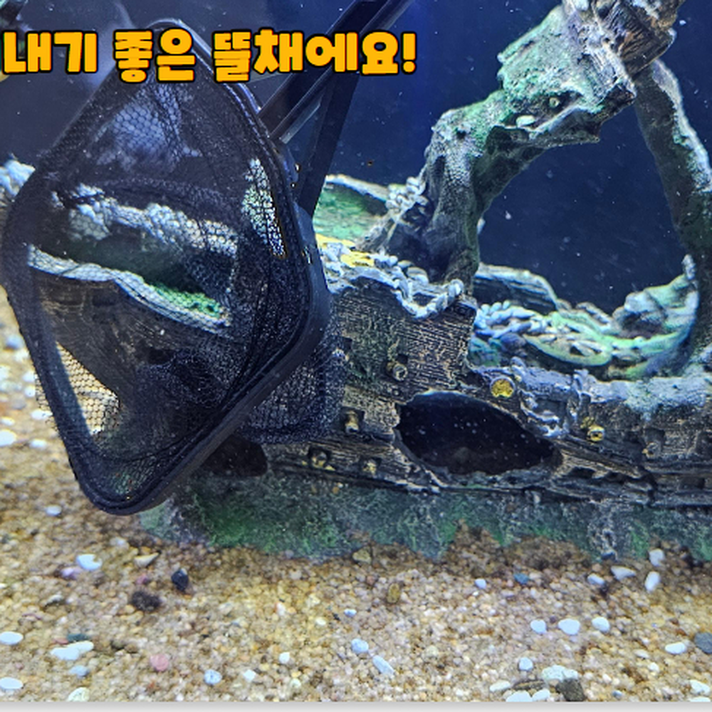 삼각지지대 수조찌꺼기제거어항뜰채 사료부유물제거용뜰채 중형 - 상세 이미지 4