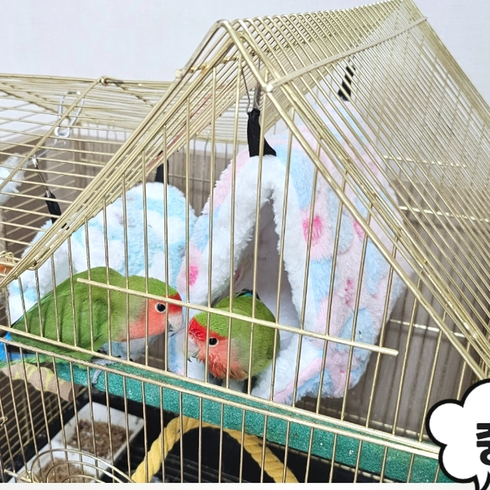 걸이형고리 잠자리용앵무새포치 스트레스해소포치 중 - 상세 이미지 5