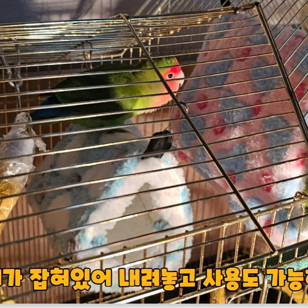 걸이형고리 잠자리용앵무새포치 스트레스해소포치 중 이미지 6