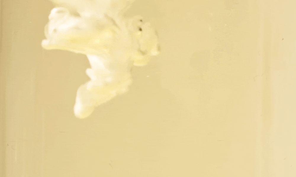 huile démaquillante coréenne nooni LHA