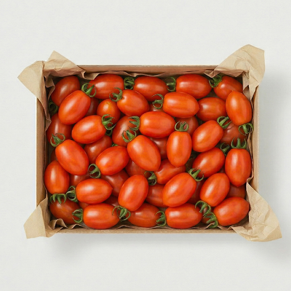 토마토 스테비아 대추 방울 토마토 1kg 2kg 5kg