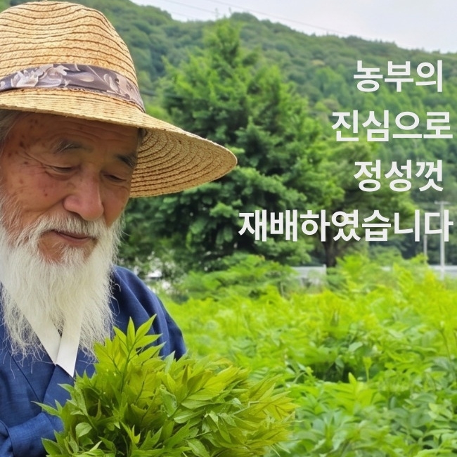 여름두릅 가시없는 제철 나물 자연산 농장 새벽 수확 신선한 국내산 1kg - 상세 이미지 3