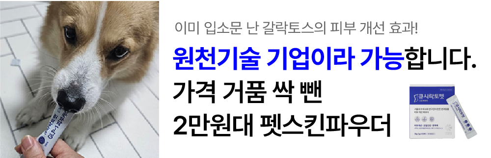 [서울대 연구진&수의사 공동개발] 큐시락토펫 스킨 파우더 강아지 애견 피부 영양제 가려움증 피부병 30포, 2개