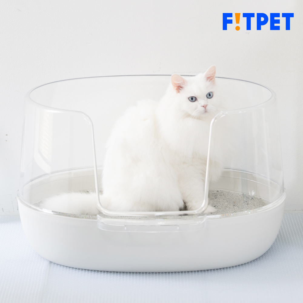 네이버 핏펫 냥쌤 고양이 화장실 투명 대형 다묘 오픈형 배변통 사막화방지