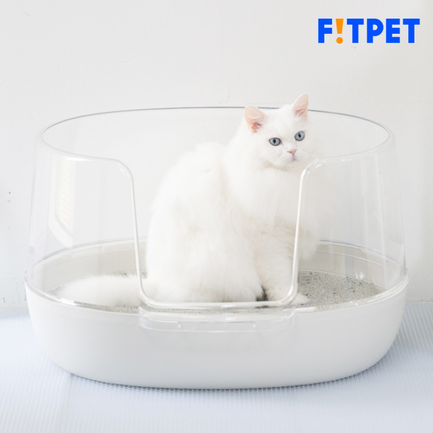 냥쌤 고양이 투명화장실 대형 다묘 오픈형 배변통 사막화방지