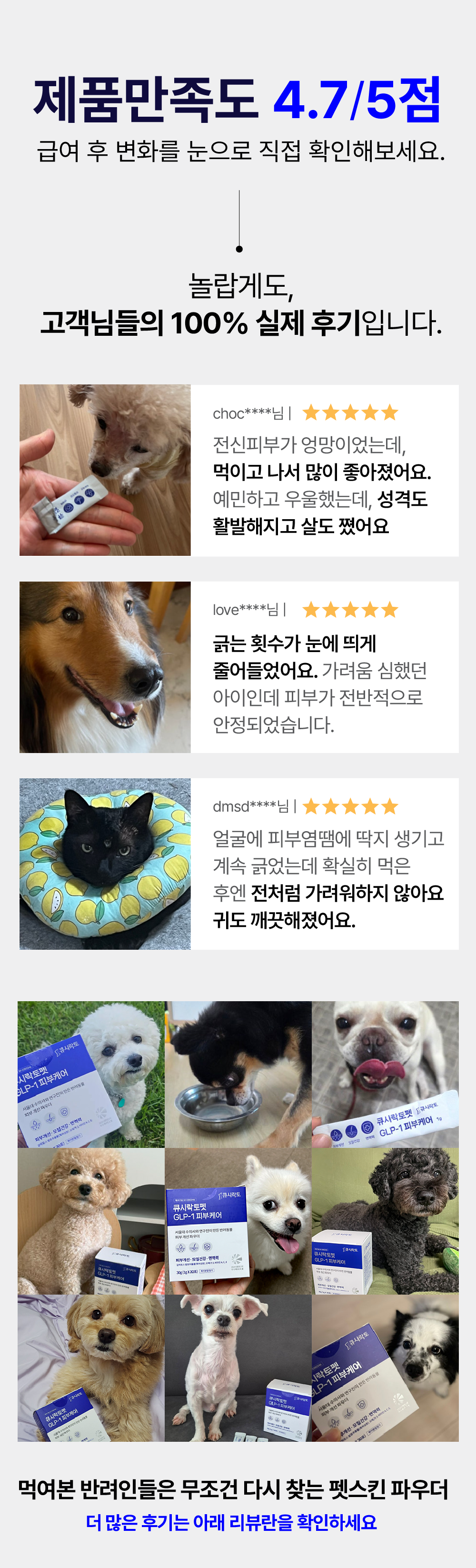 [서울대 연구진&수의사 공동개발] 큐시락토펫 스킨 파우더 강아지 애견 피부 영양제 가려움증 피부병 30포, 2개