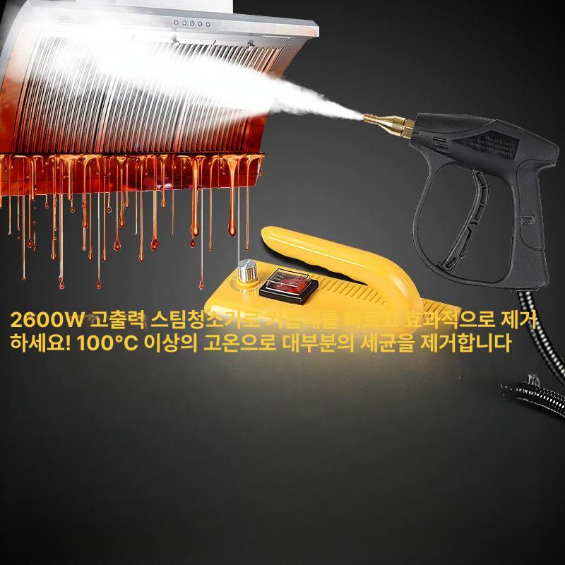 스팀 해빙기 수도관 배관 녹임 고압 세척 스팀기 겨울용 2600W 심플 블랙 - 상세 이미지 2