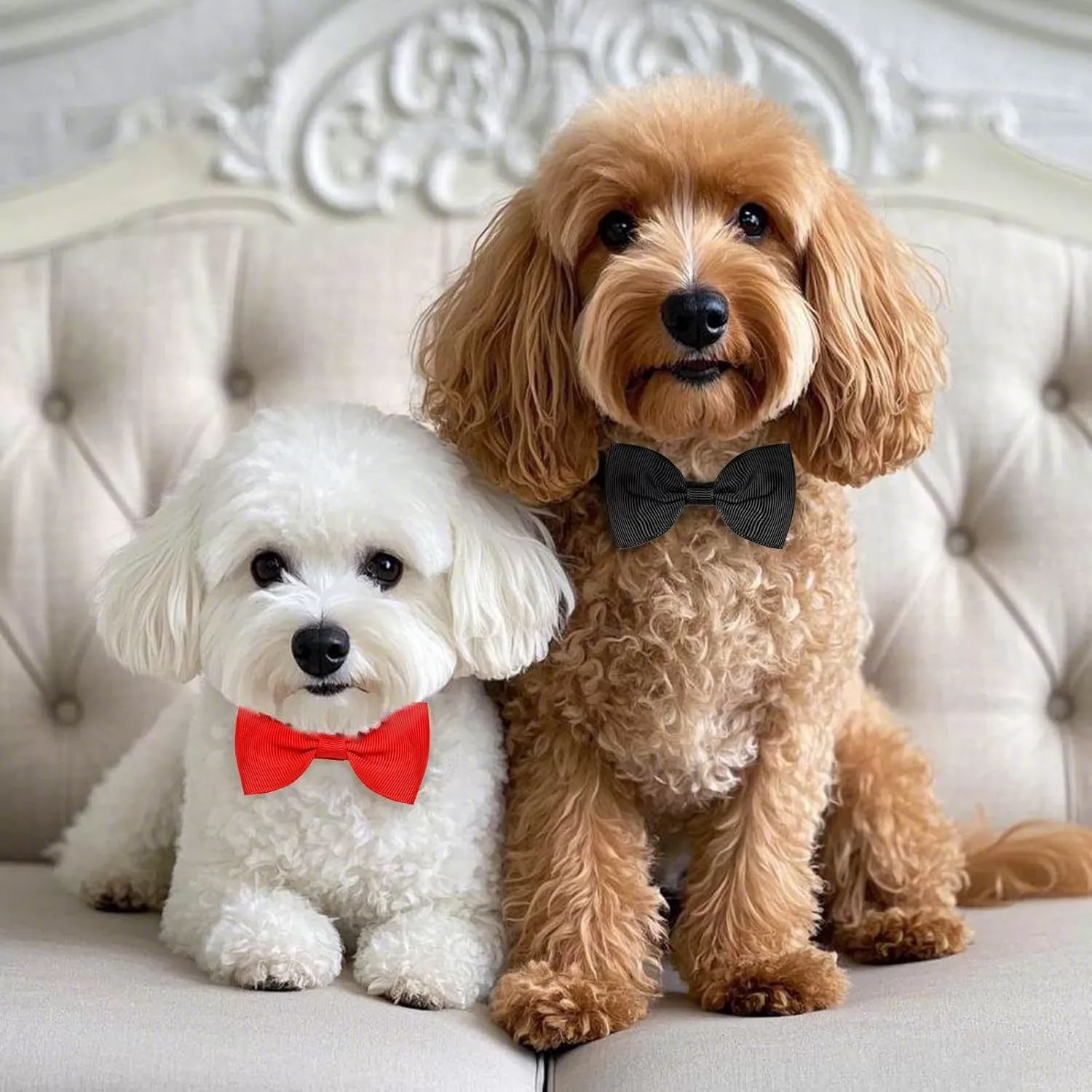 강아지 고양이 반려동물 옷 보타이 나비텍타이 애완견 반려견 반려묘 애견용품 결혼 굿즈 목줄 - 상세 이미지 2