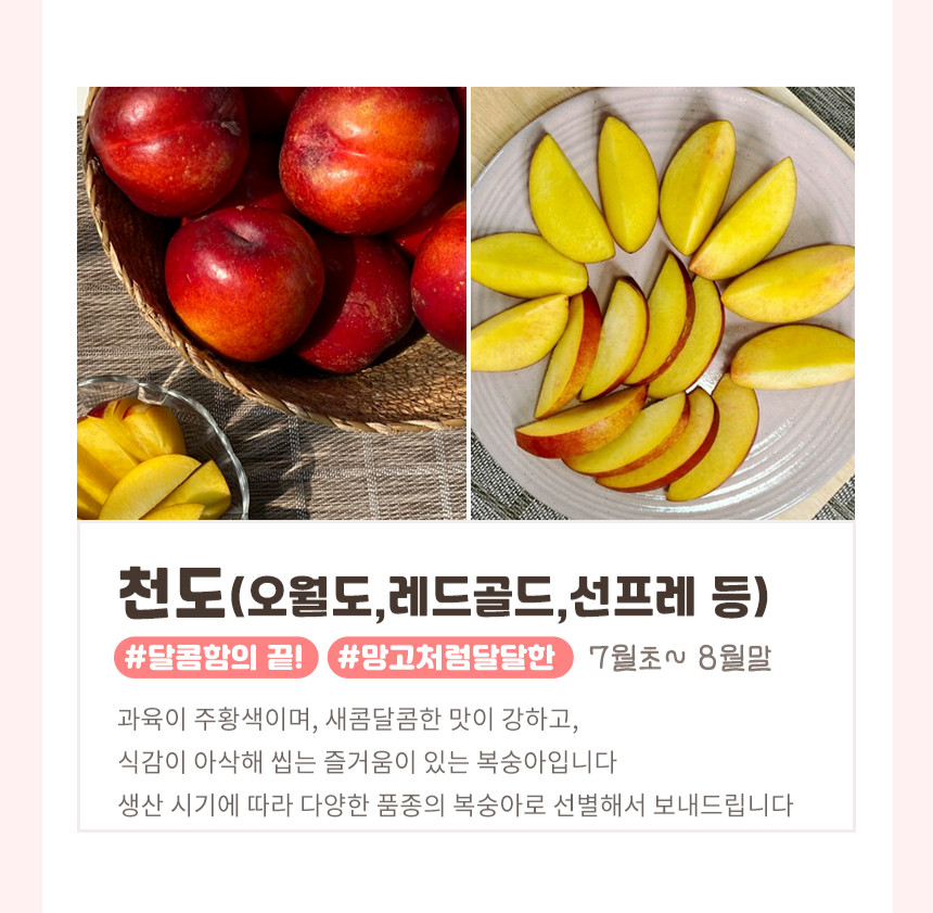 대극천복숭아 딱복 납작복숭아 딱 딱딱한 딱딱이복숭아 천도 망고복숭아 오월도 물복숭아 물복 상품 이미지