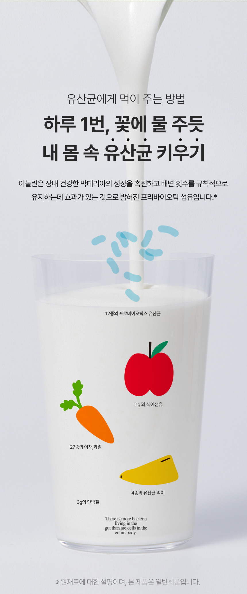 헐그리 100억 유산균 스무디 차전자피 식이섬유 보충제 500g - 상세 이미지 3