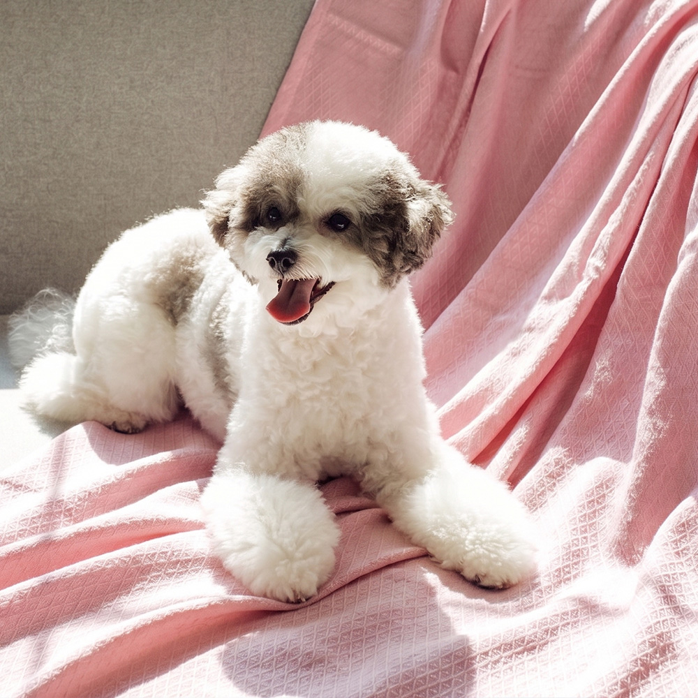 더보드라 냉감이불 밤부 대나무 여름이불 자카드 쿨링담요 - 상세 이미지 4