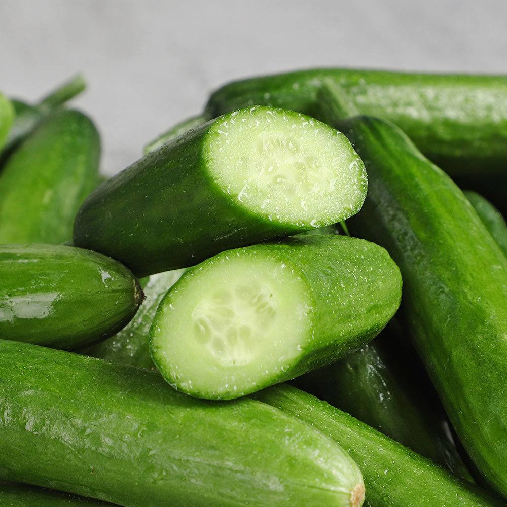 토해원 국내산 미니오이 500g 1kg 2kg 당일수확 아삭한 스낵 피클 - 상세 이미지 3