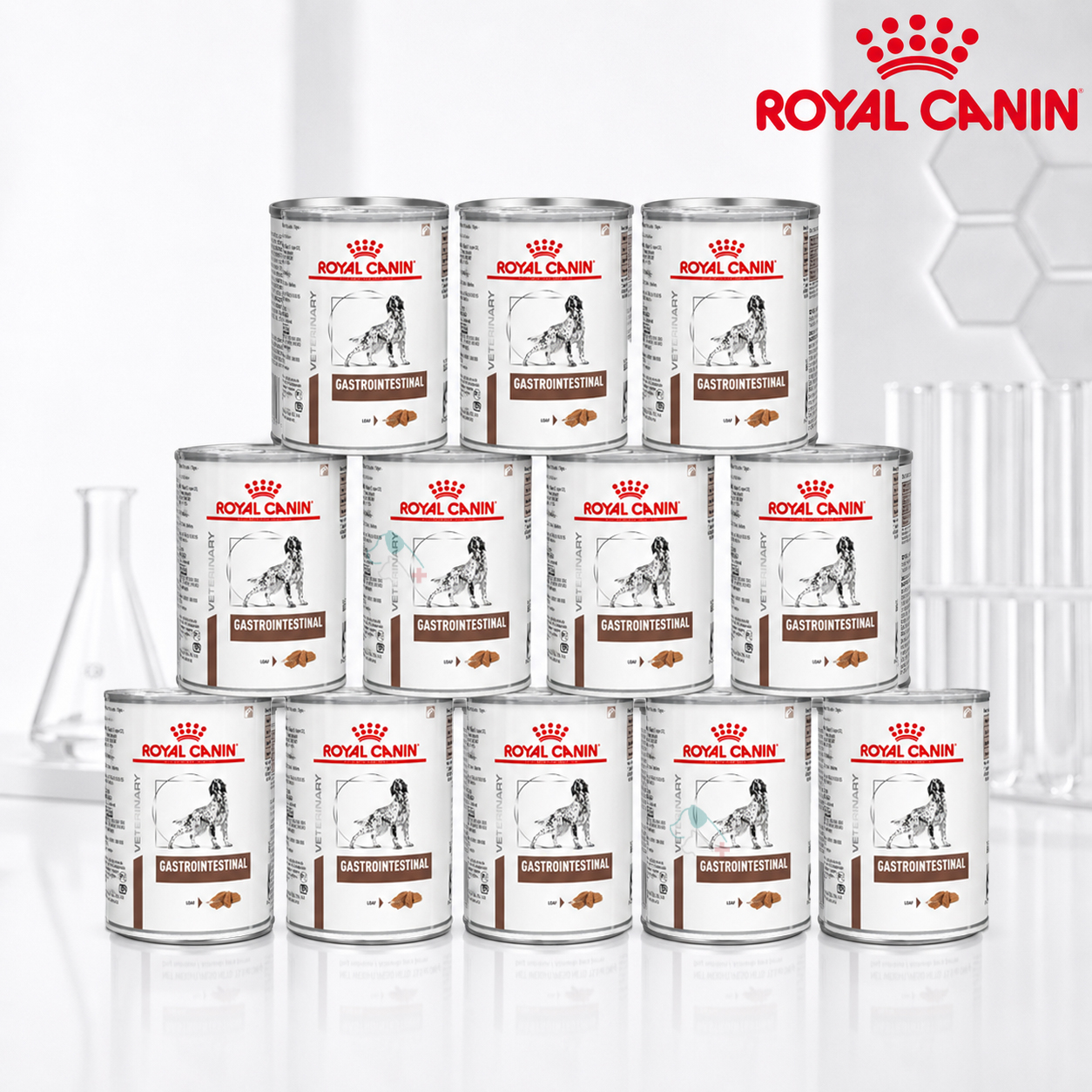 로얄캐닌 독 가스트로 인테스티널 강아지 반려견 습식 캔 위장관리, 400g, 12개 - 상품 이미지