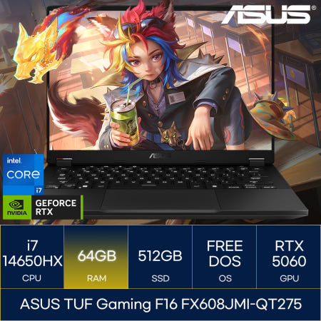ASUS TUF Gaming F16 FX608JMI-QT275 (RAM 64GB)_마우스+장패드증정 AN