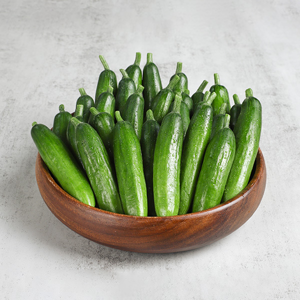 토해원 국내산 미니오이 500g 1kg 2kg 당일수확 아삭한 스낵 피클 - 상세 이미지 5