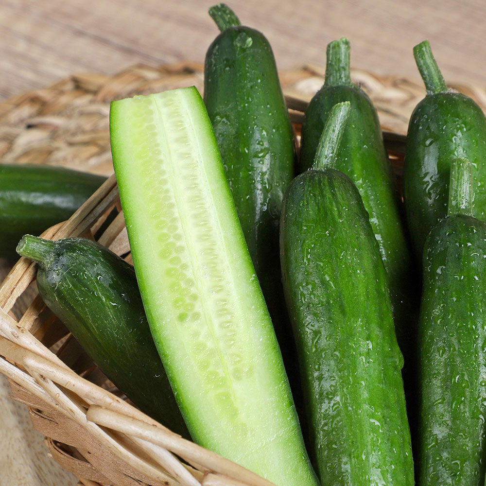토해원 국내산 미니오이 500g 1kg 2kg 당일수확 아삭한 스낵 피클 이미지 7