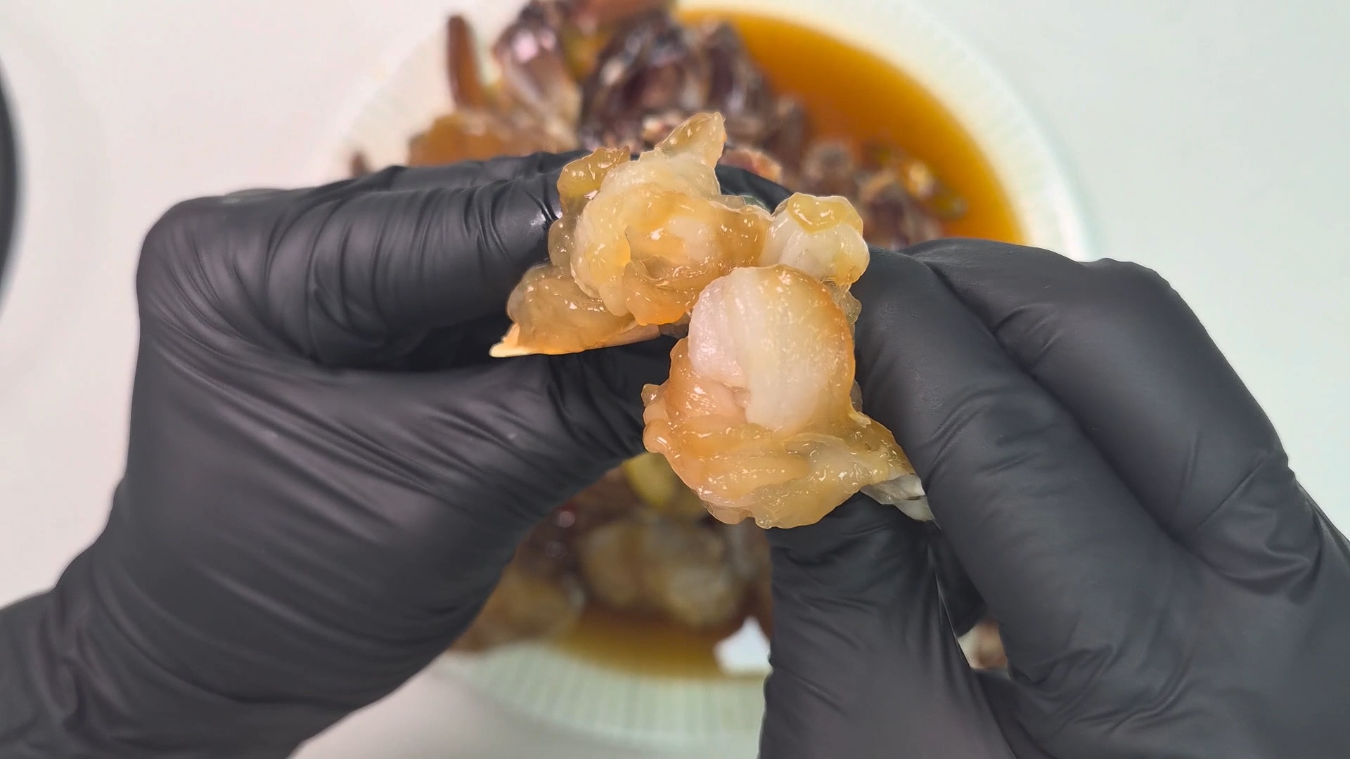 바른제주 간장게장 제주 금게 황게 국내산 부모님 선물 뷔페 황게장 1kg, 3개 이미지 8