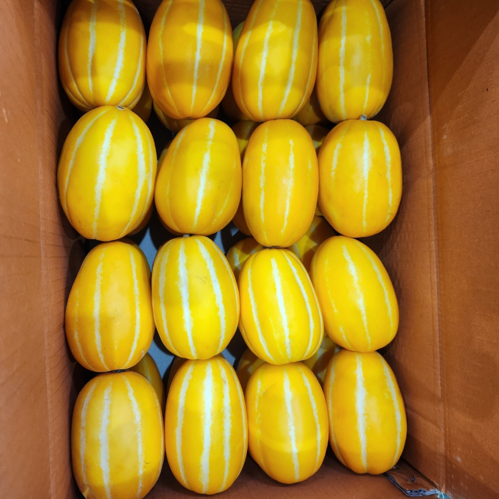 [특가할인] 고당도 성주 참외 로얄과 10kg, 1개 - 상세 이미지 2