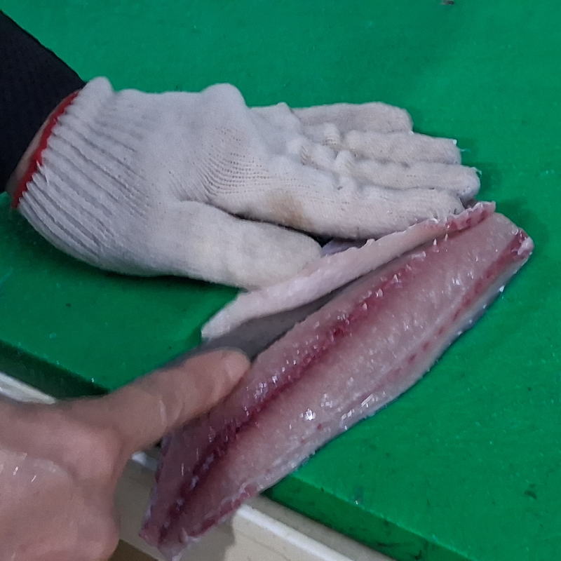 자연가득 통영 양식 고등어회 필렛 270g내외 / 손질전 500g 1미 - 상세 이미지 4
