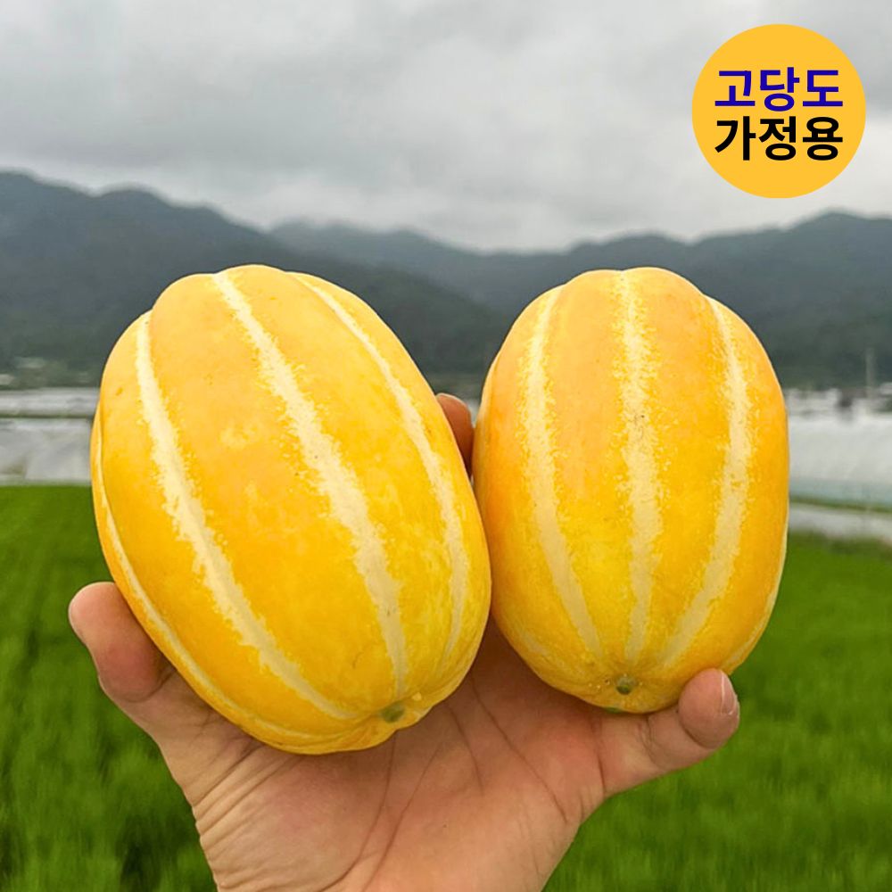 국대참외 고당도 성주 꿀참외 가정용 5Kg 중대 9~18과 - 상품 이미지