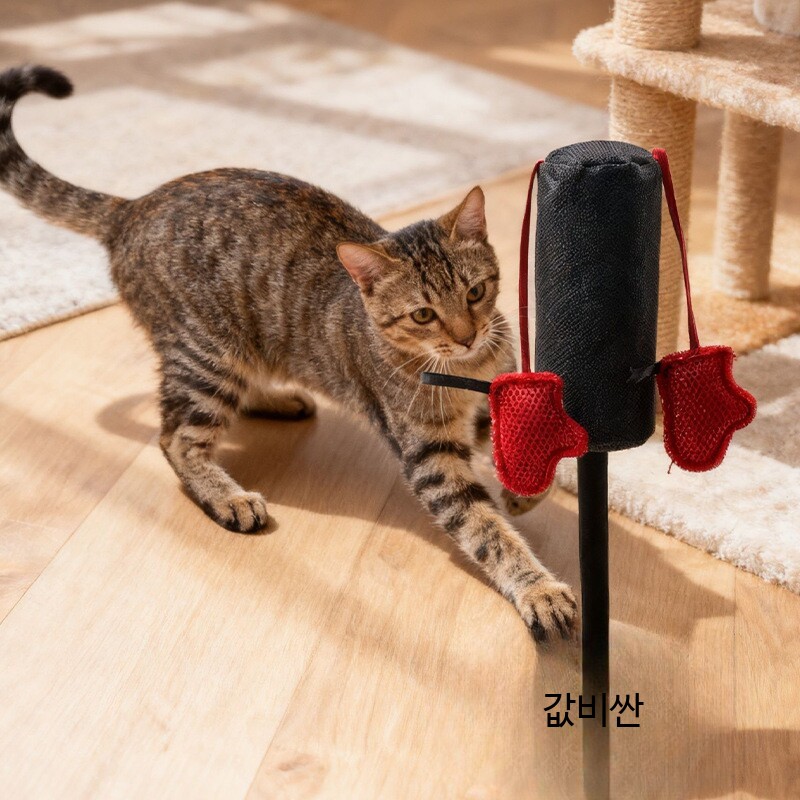 고양이 샌드백 티저 활동 복싱 훈련 펀칭 Dropship - 상세 이미지 5