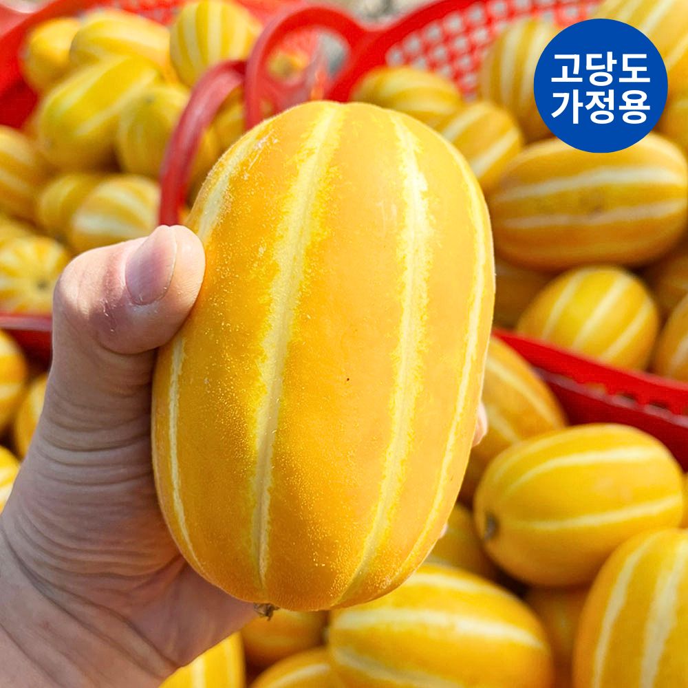 국대참외 고당도 성주 꿀참외 가정용 5Kg 중대 9~18과 - 상세 이미지 5