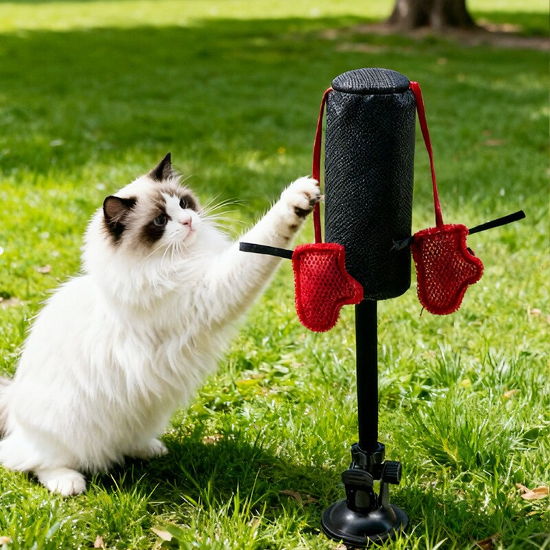 고양이 샌드백 티저 활동 복싱 훈련 펀칭 Dropship - 상세 이미지 3