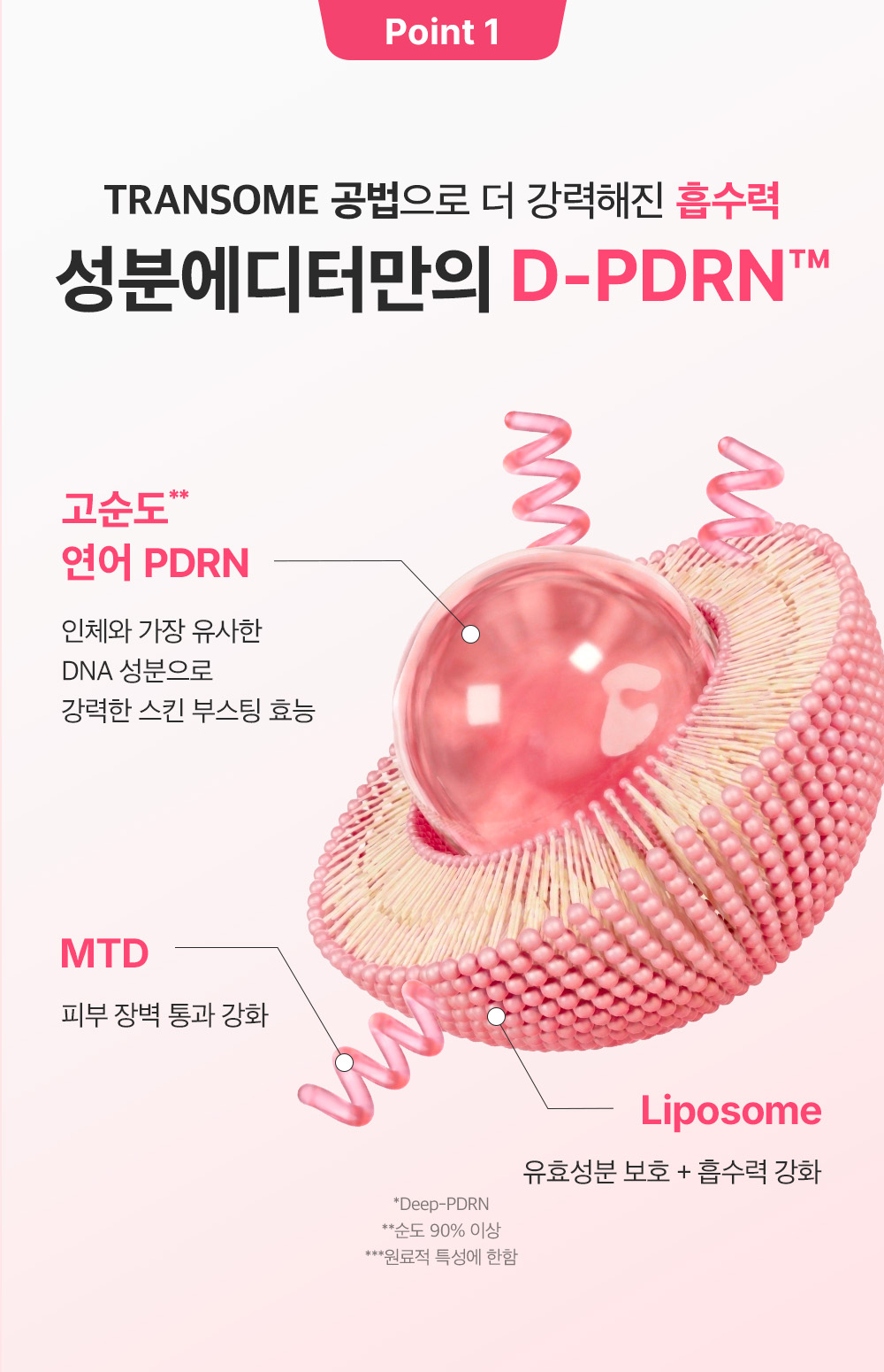 sungboon editor PDRN concentrated ampoule