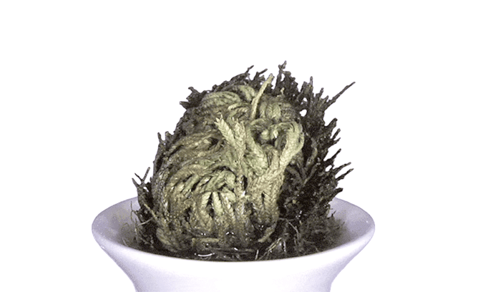 masque en tissu acide hyaluronique coréen