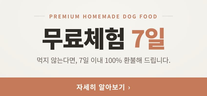 펫더라이프 강아지 노견 소프트 사료 말티즈 푸들 비숑 연어. 1kg, 1개 판매처 상세 정보 이미지 2