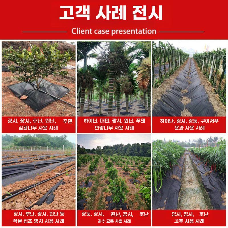 제초 매트 부직포 사각 대형 천 덮개 묘목 농업용 - 상세 이미지 2