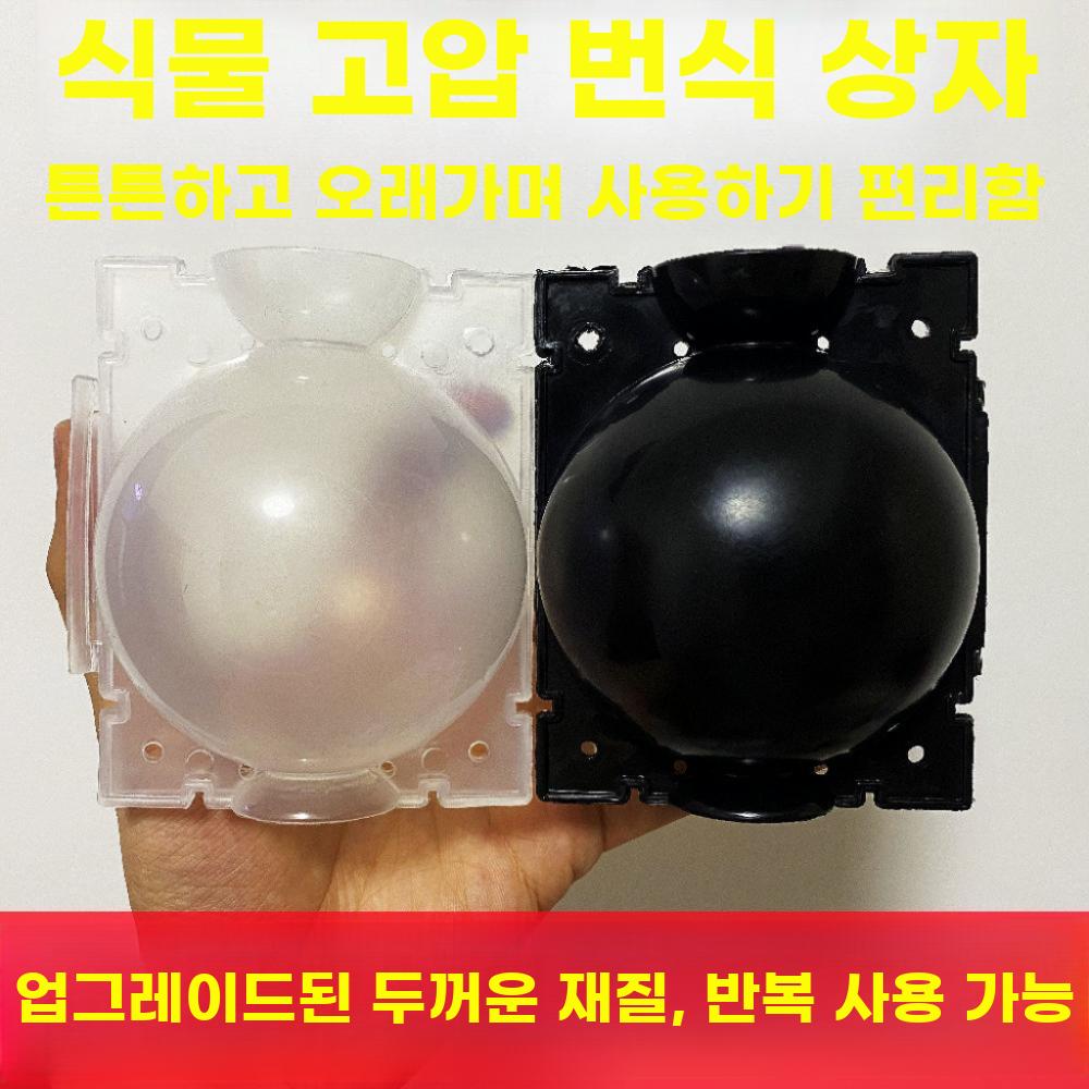 취목볼 루팅볼 뿌리 소형 모판 번식 투명 이식 자재 - 상세 이미지 2