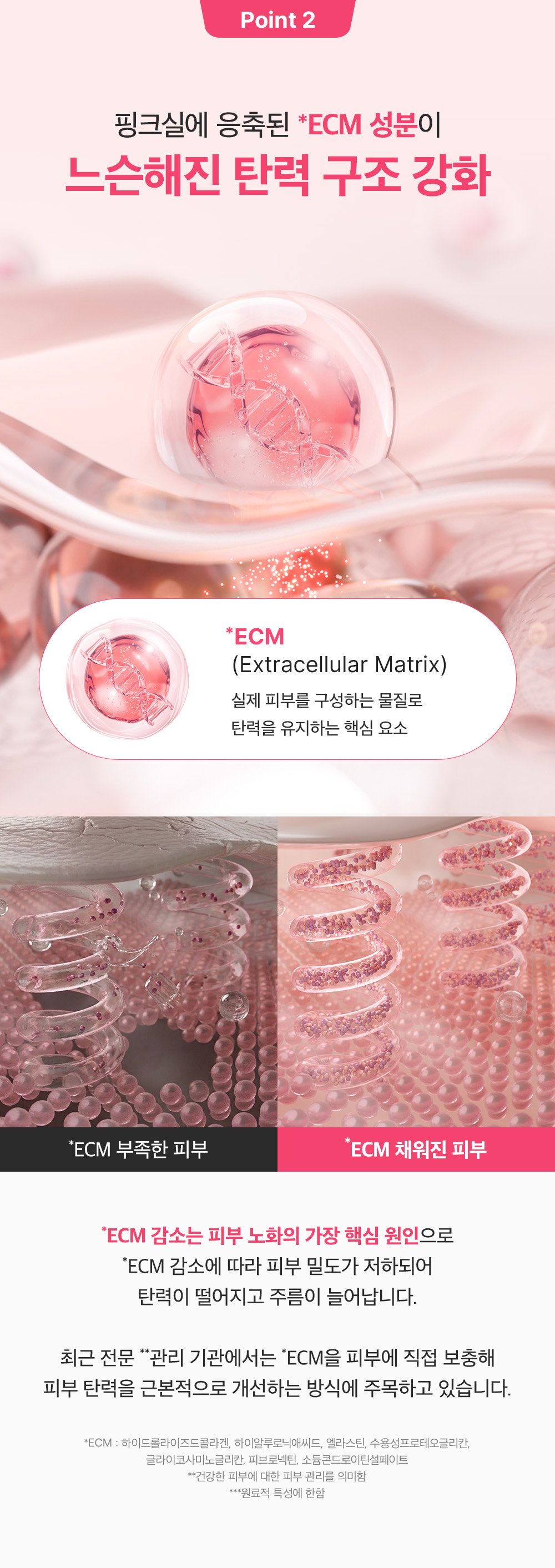 sungboon editor PDRN concentrated ampoule