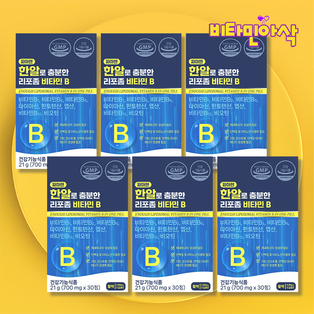 리포좀 비타민B군 비타민B1 B2 B3 B5 B6 B7 B9 B12 효능 권장량 6박스 - 상품 이미지