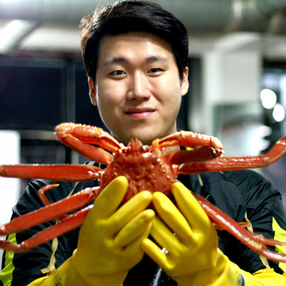 국내산 제철 박달 대게 홍게 게 포항 구룡포 상품 이미지