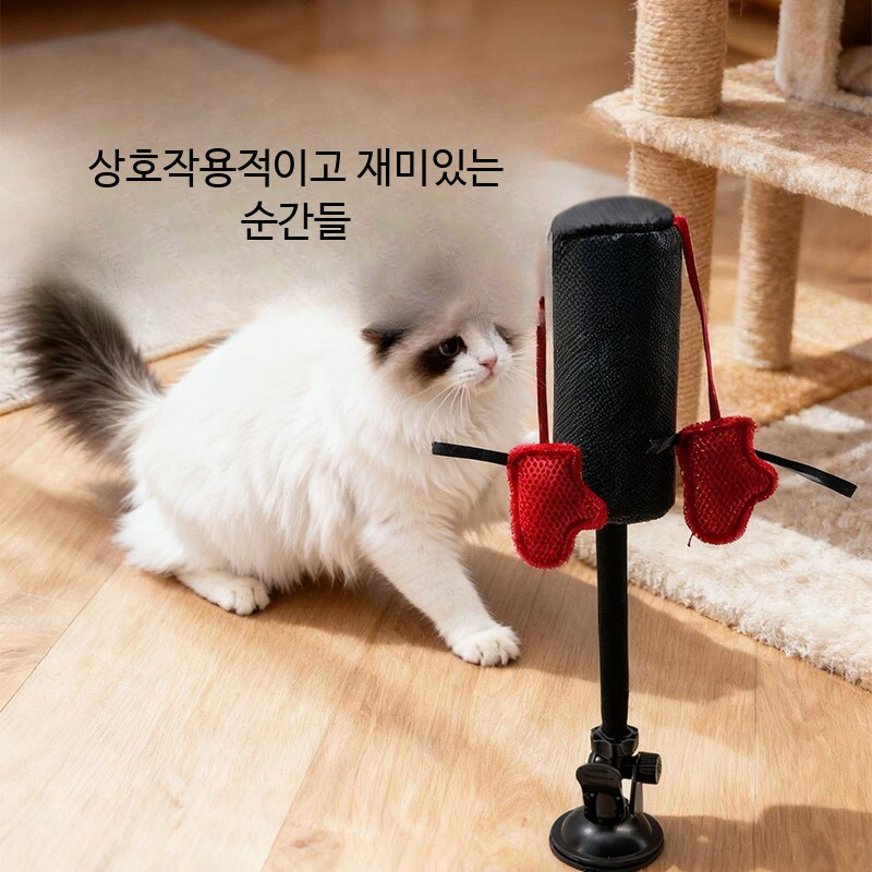 고양이 샌드백 티저 활동 복싱 훈련 펀칭 Dropship - 상세 이미지 2