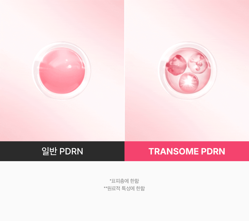 sungboon editor PDRN concentrated ampoule