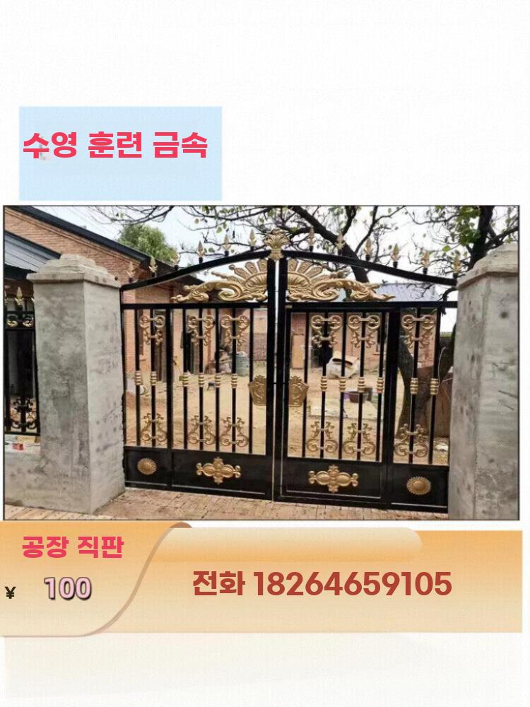 철제 대문 양문형 정원 주택 출입문 외부 현관문 - 상세 이미지 3