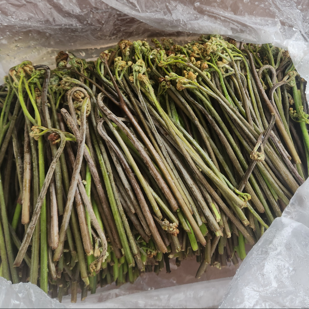 100%제주산 생고사리로 끓인 제주 고사리 육개장 600g x 3팩 - 상세 이미지 4