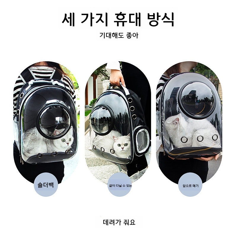 고양이 이동장 백팩 넉넉한 수납 통기성 투명 블랙 돔 12홀 - 상세 이미지 5