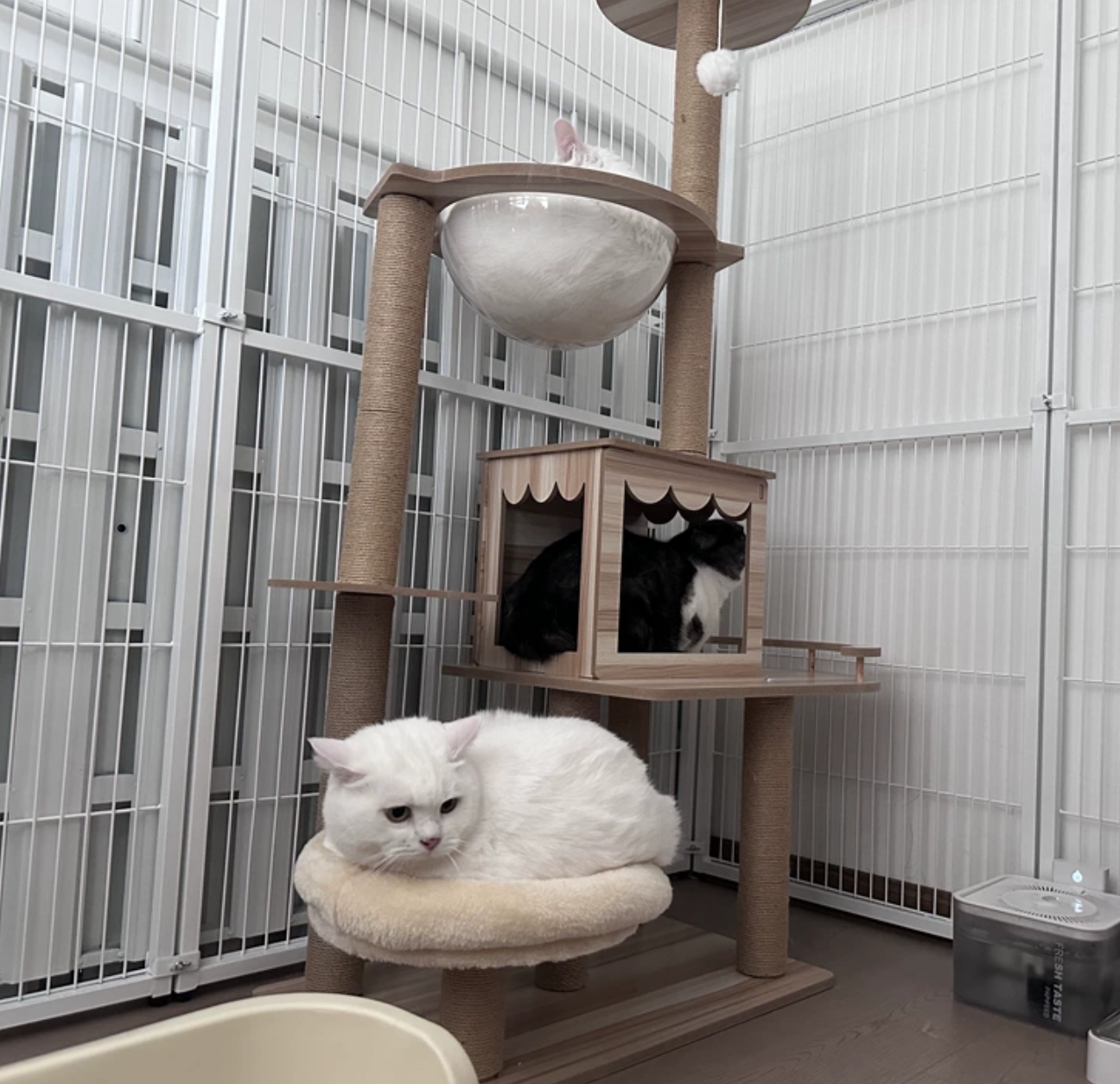 초대형 철장 케이지 고양이 격리 펜스 철제 동물 보호장 - 상세 이미지 5