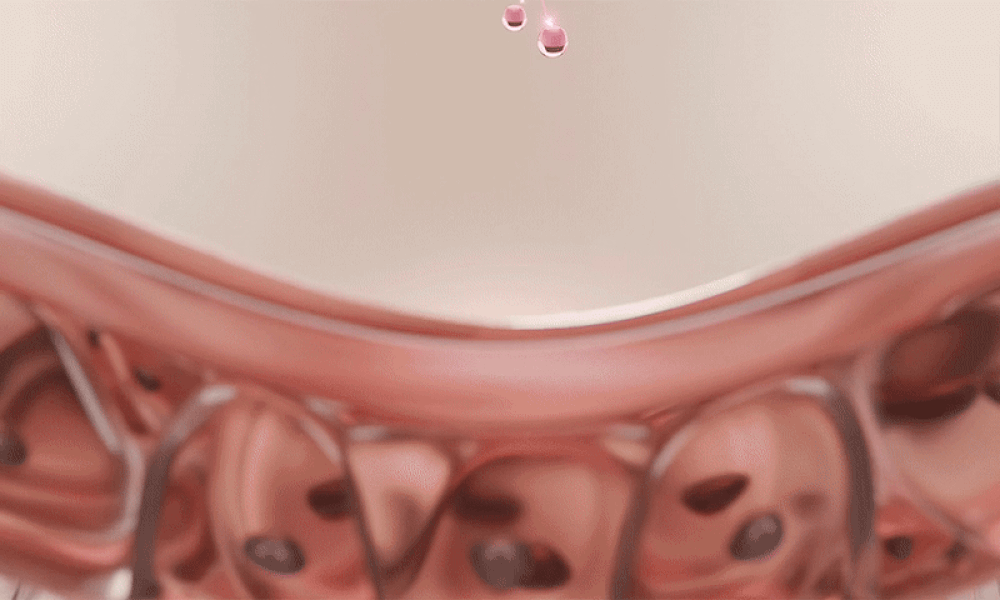 ampoule concentrée peptides de soie coréen